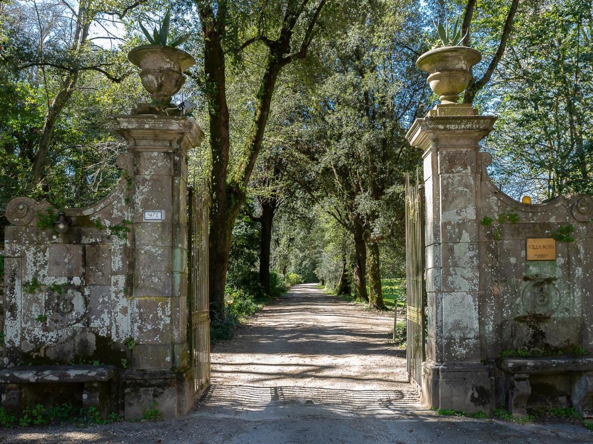 New! La Stanza In Villa Lucca Luaran gambar
